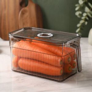 Hộp đựng rau củ tủ lạnh 3L có quai trong suốt bảo quản thực phẩm - Hình ảnh 4