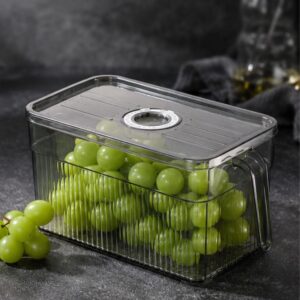Hộp đựng rau củ tủ lạnh 3L có quai trong suốt bảo quản thực phẩm