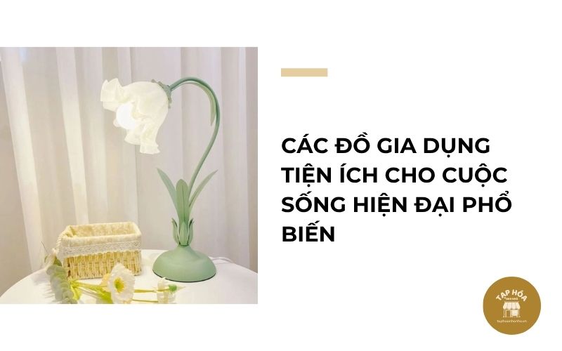 Các đồ gia dụng tiện ích cho cuộc sống hiện đại phổ biến