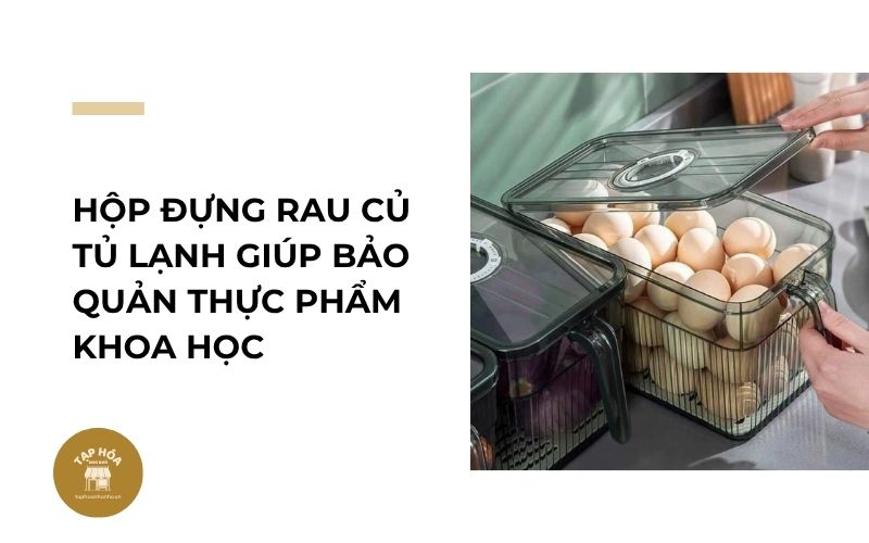 Hộp đựng rau củ tủ lạnh giúp bảo quản thực phẩm khoa học