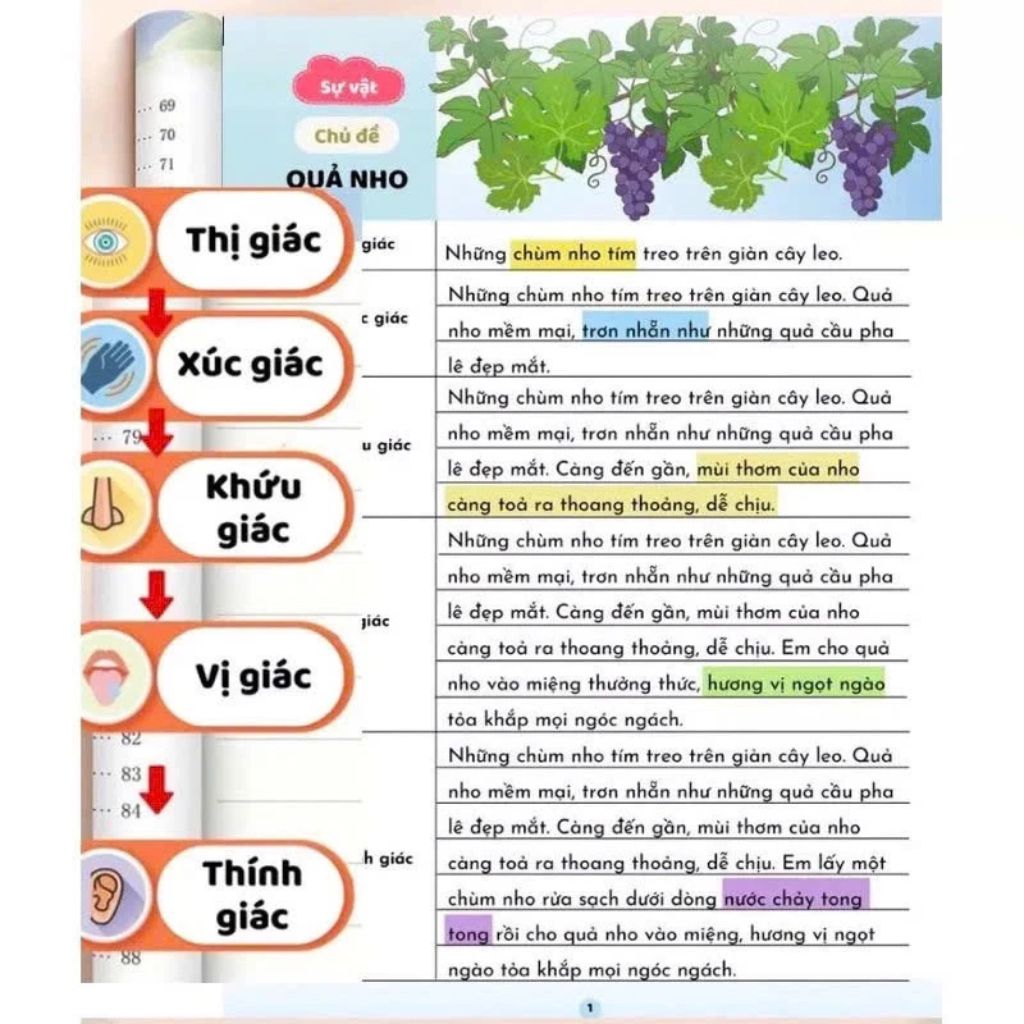 Sách bộ 4 cuốn Công thức mở rộng câu văn in màu cho học sinh tiểu học - Ảnh 3