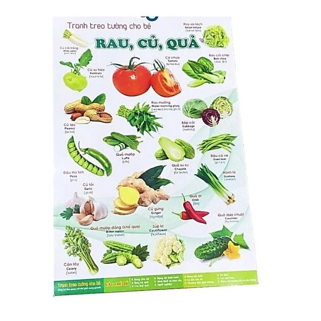 Tranh treo tường cho bé 14 chủ đề song ngữ Anh Việt 41x60cm chuẩn NXB - Ảnh 2