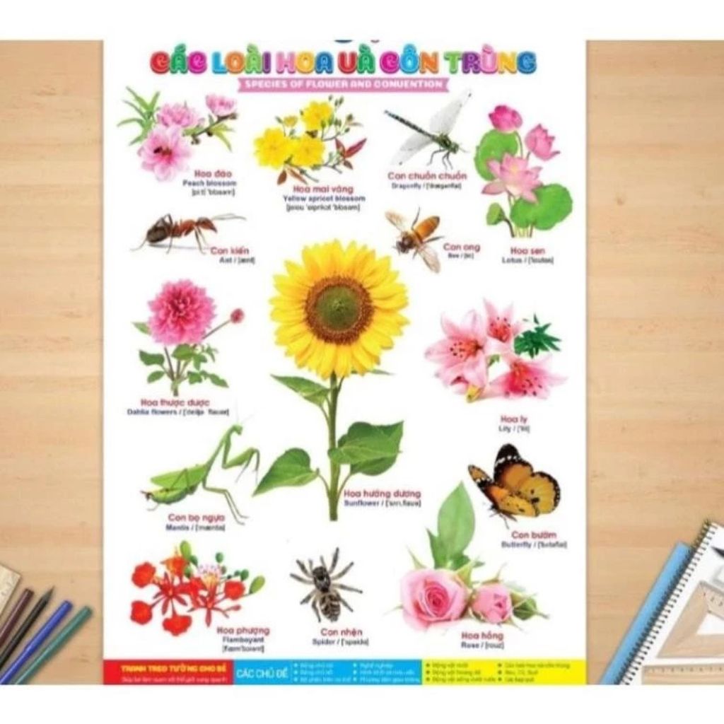 Tranh treo tường cho bé 14 chủ đề song ngữ Anh Việt 41x60cm chuẩn NXB - Ảnh 3