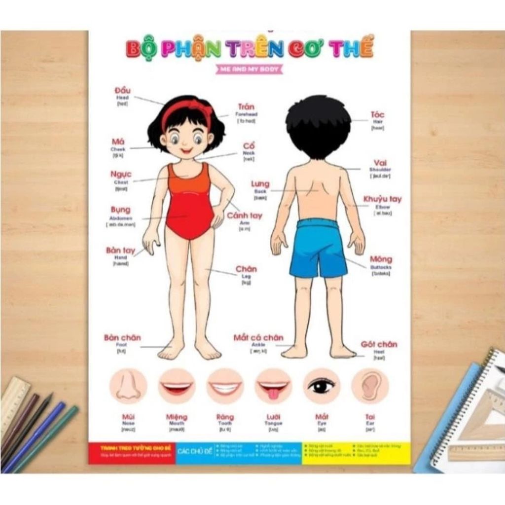 Tranh treo tường cho bé 14 chủ đề song ngữ Anh Việt 41x60cm chuẩn NXB - Ảnh 4