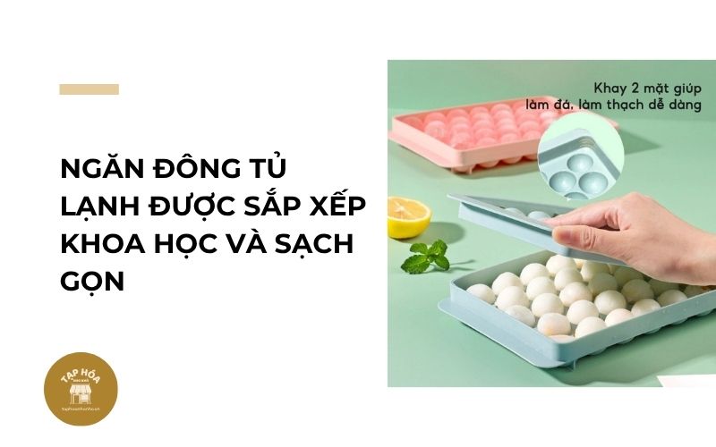 Ngăn đông tủ lạnh được sắp xếp khoa học và sạch gọn